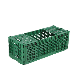 Cajas plegables de plástico para transporte en movimiento de flores recién cortadas