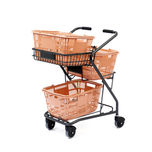 Carro de compras con cesta para tienda de conveniencia