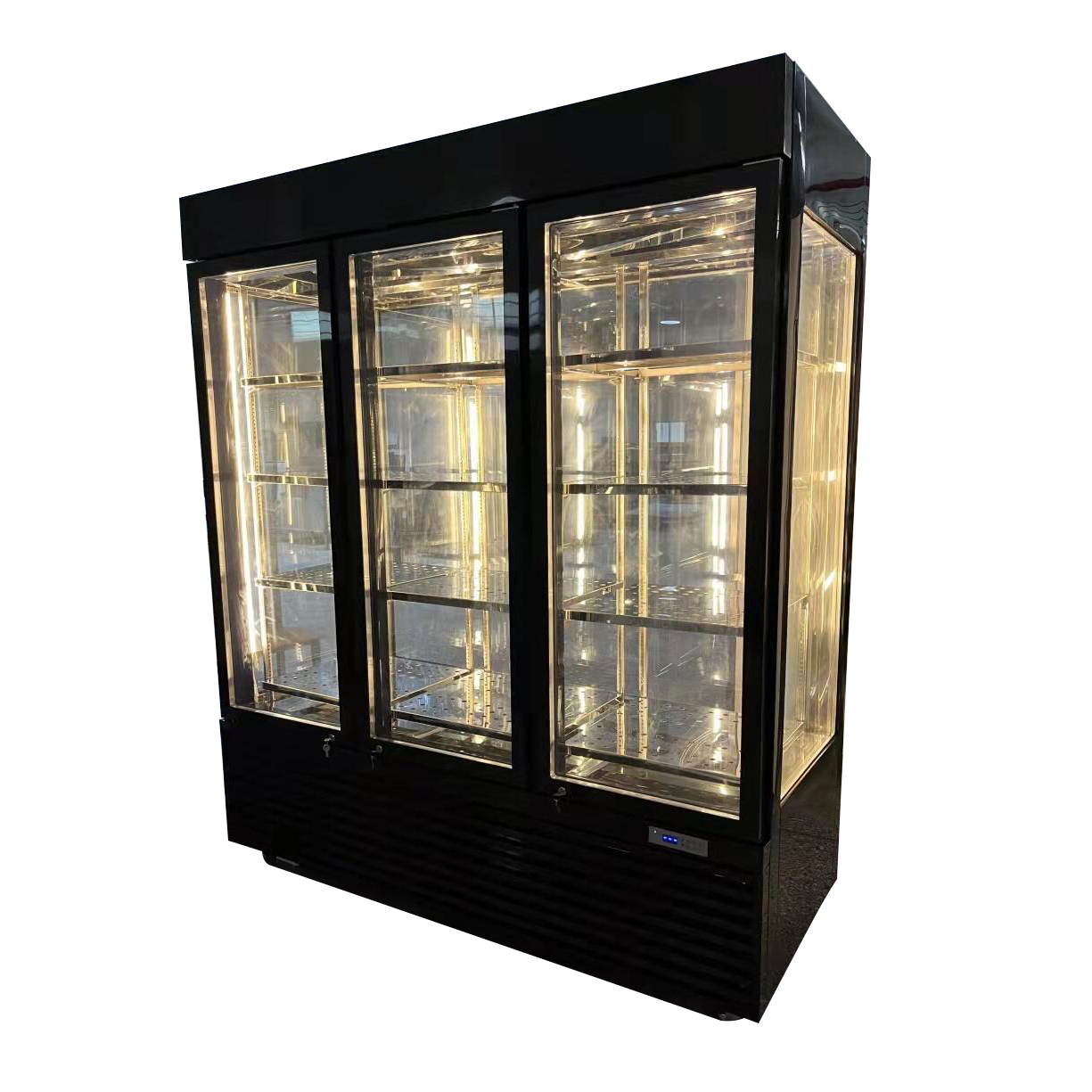Refrigerador envejecido en seco comercial Refrigerador Congelador Refrigerador para carne
